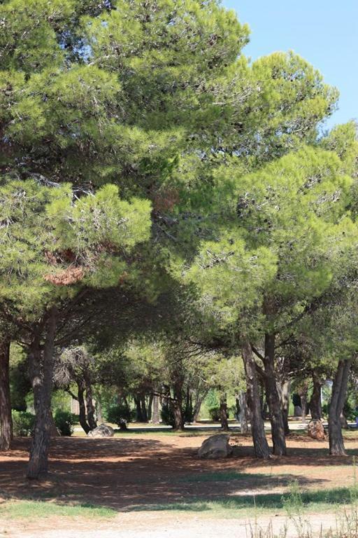 Casa Mireia I Paula Villa Riumar Luaran gambar